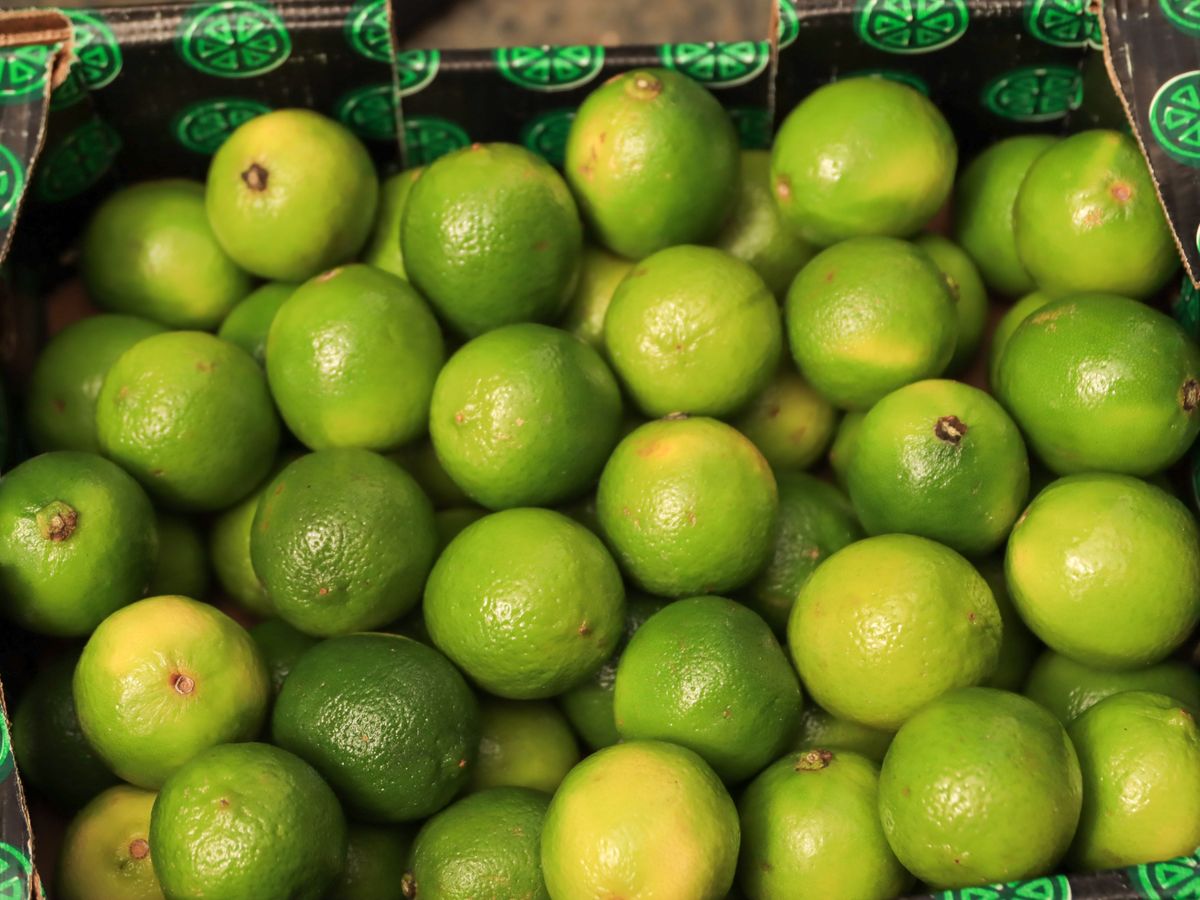 Caixa atacadista de Limão Taiti selecionado